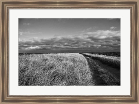 Framed Road to the Beach Print