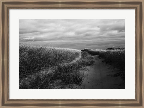Framed Beach Grasses Print