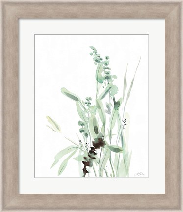 Framed Grasses III Print