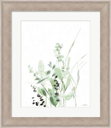 Framed Grasses II Print