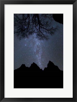 Framed Star Geyser Oatriarchs Print