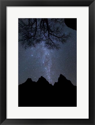 Framed Star Geyser Oatriarchs Print