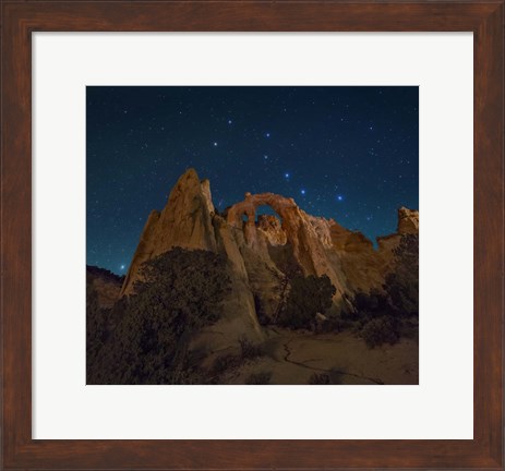 Framed Grosvenor Dipper Print