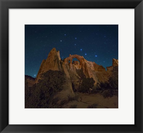 Framed Grosvenor Dipper Print