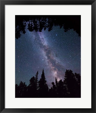 Framed Montana Sky Trees Print