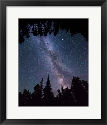 Framed Montana Sky Trees Print