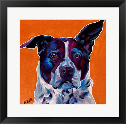 Framed Pit Bull Mix - Brewster Print