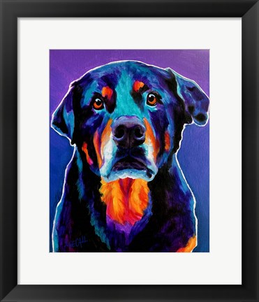 Framed Rottweiler - Nitro Print