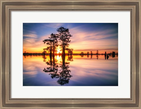 Framed Dawn in Henderson Swamp Print