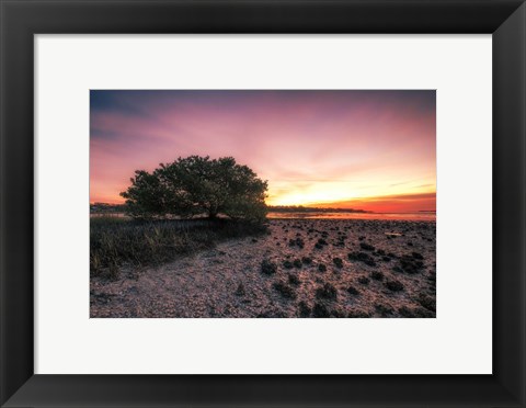 Framed Cedar Key Sunrise Print