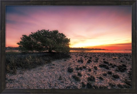 Framed Cedar Key Sunrise Print