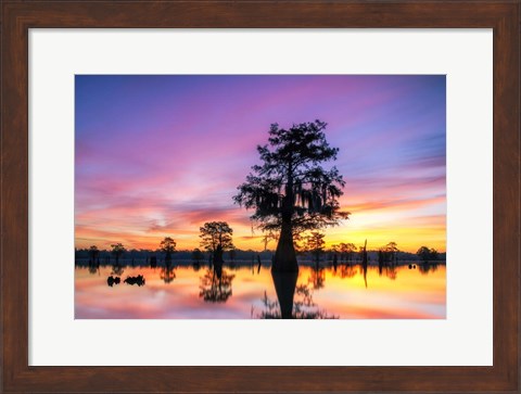 Framed Cajun Radiance Print