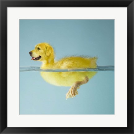 Framed Dog Duck Print