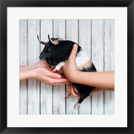 Framed Guinea Bull Print