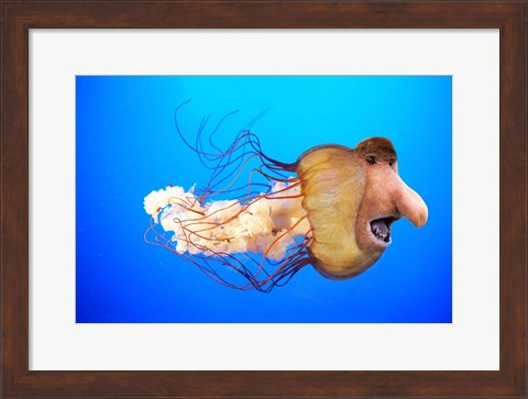 Framed Monkfish Print