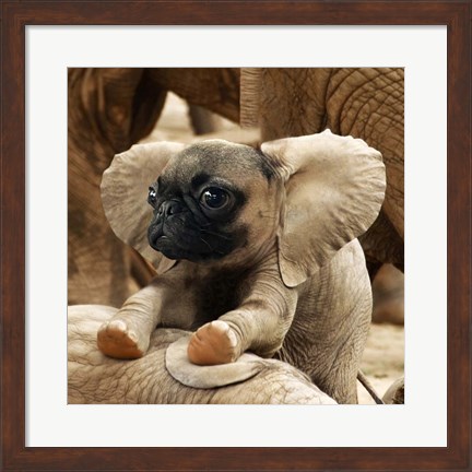 Framed Pugephant Print