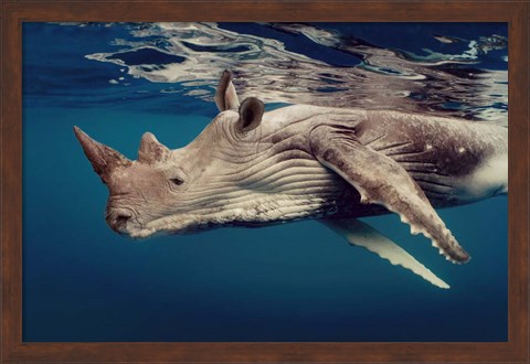 Framed Whino 2 Print