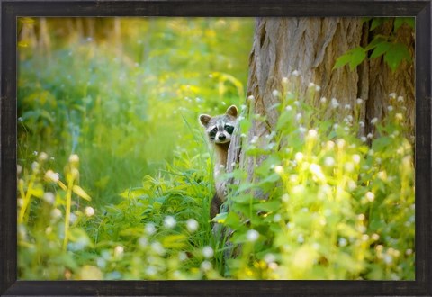 Framed Peek A Boo Print