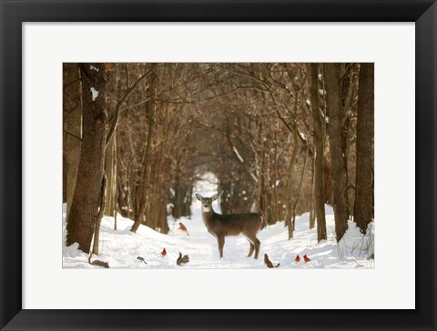 Framed Forest of Snow White Print