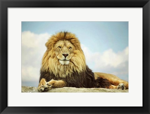 Framed King Print