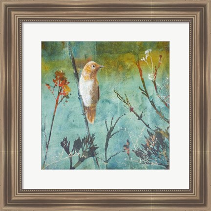 Framed Australian Reed Warbler Print