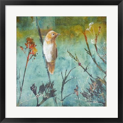 Framed Australian Reed Warbler Print