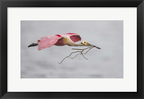 Framed Pink and Grey Print