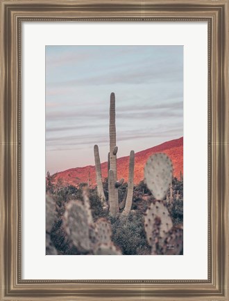 Framed Sunsets and Saguaros II Print