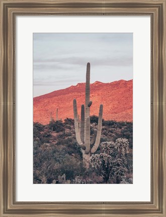 Framed Sunsets and Saguaros I Print