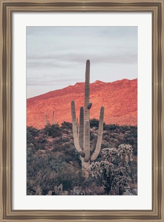 Framed Sunsets and Saguaros I Print