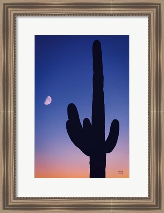 Framed Candy Rock Desert Print