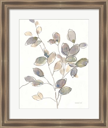 Framed Transparent Branch Print