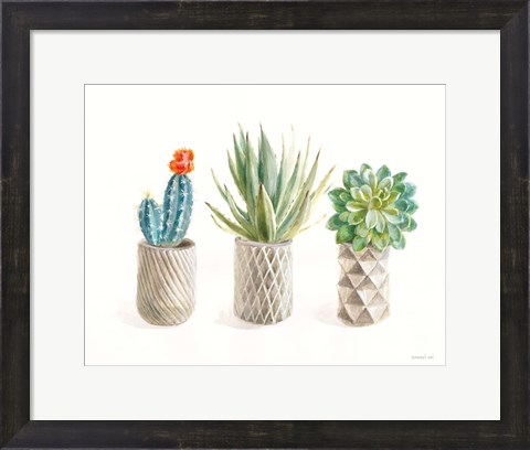 Framed Desert Greenhouse VIII Print