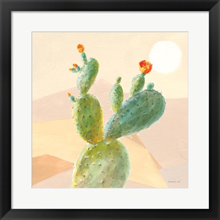 Framed Desert Greenhouse IV Print