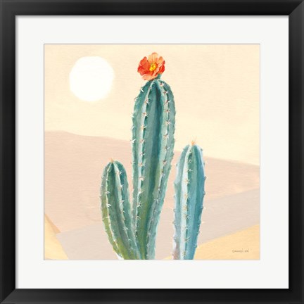 Framed Desert Greenhouse III Print