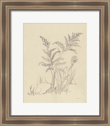 Framed Vintage Nature Sketchbook VI Print