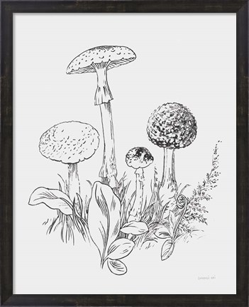 Framed Natures Sketchbook II Bold Light Gray Print
