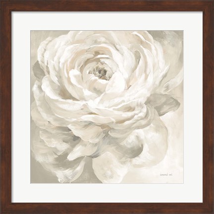 Framed White Rose Gray Print