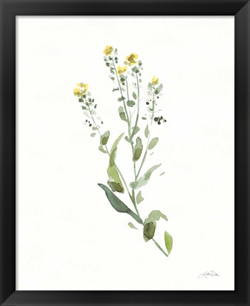 Framed Flowers of the Wild IV Print