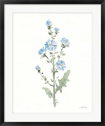 Framed Flowers of the Wild III Print