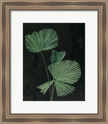 Framed Palm Botanical III Black Print