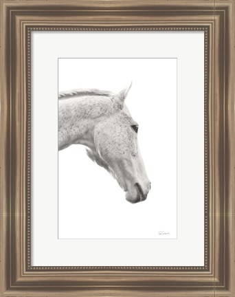 Framed Horse Named Lady I BW Print