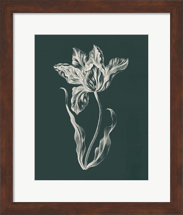 Framed Eden Tulips II Print
