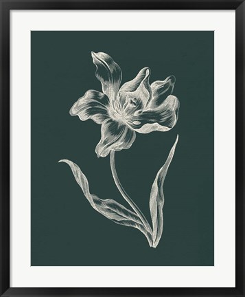 Framed Eden Tulips I Print