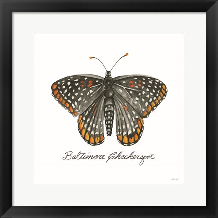 Framed Baltimore Checkerspot Print