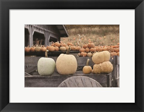 Framed Autumn Pumpkin Harvest Print