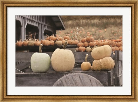 Framed Autumn Pumpkin Harvest Print