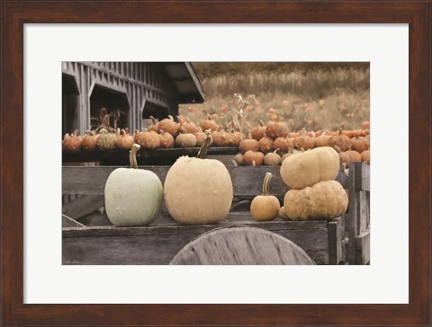 Framed Autumn Pumpkin Harvest Print