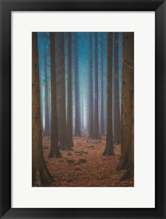 Framed Trees Everywhere Print