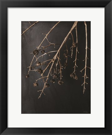 Framed Branches in Noir II Print